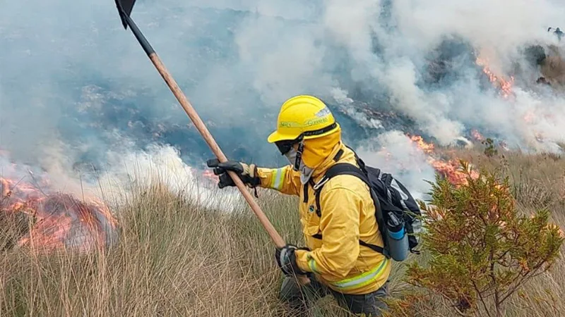 El Niño intensifica incendios forestales en la Sierra